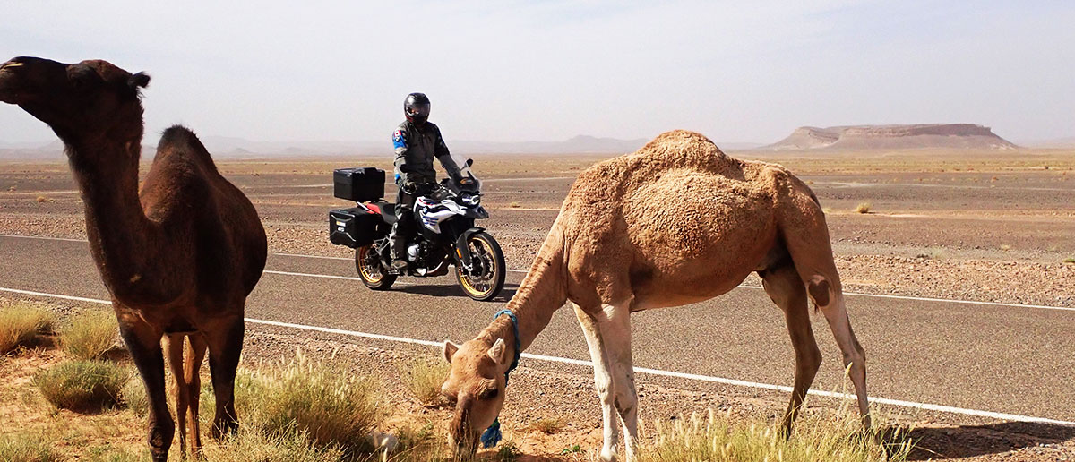 Morocco-Guided-Motorcycle-Tours