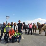 Ruta organizada moto Europa Pirineos Perfectos