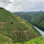 Viaje organizado moto Europa Norte España Verde