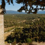 Pedraza 10