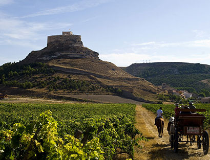 La Rioja – Ribera del Duero