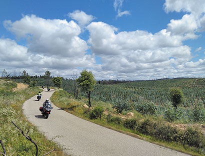 Lisboa - Alentejo