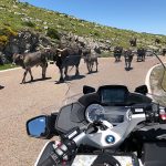 Ruta en moto El Gran Descubrimiento del Norte España Europa